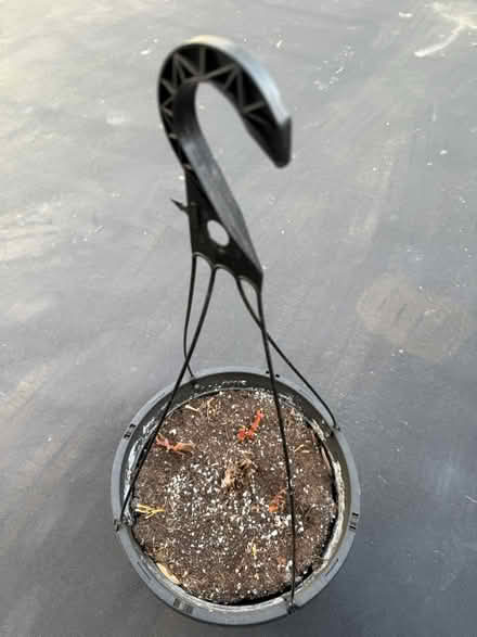 Photo of free Hanging baskets for flowers (Brookeville) #2