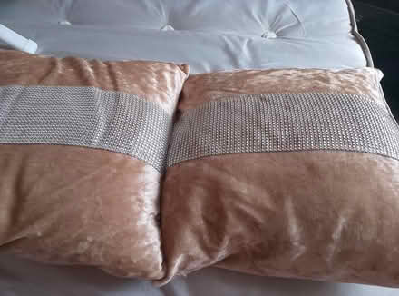 Photo of free Two sofa cushions (South ockendon) #4