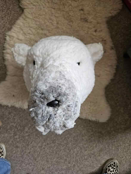 Photo of free Polar bear decoration large (OX16 banbury) #1