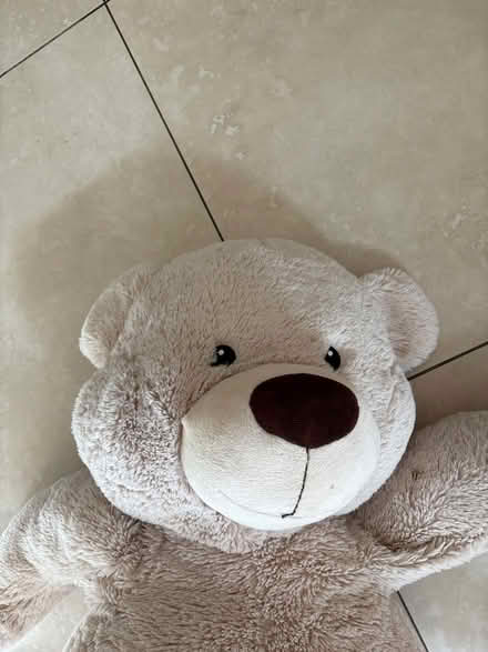 Photo of free Giant soft bear 58cm tall sat down (Southfields SW19) #2