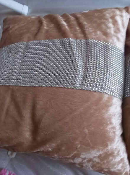 Photo of free Two sofa cushions (South ockendon) #1