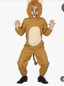 Photo of Tiger or Lion suit for child age 5+ (Stainton CA11) #1