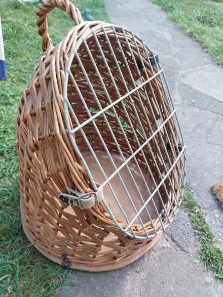 Photo of free Pet Carrier (Chessington KT9) #1