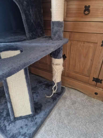 Photo of free Large cat tree (Winton) #2