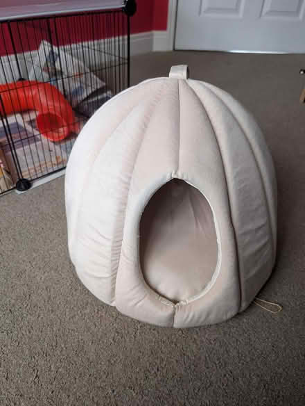 Photo of free Cat bed (Bournville) #1