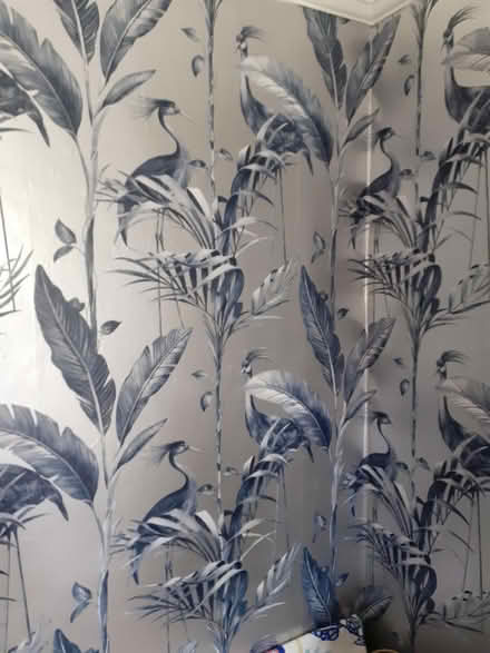 Photo of free Silver and navy wallpaper (Felpham PO22) #1