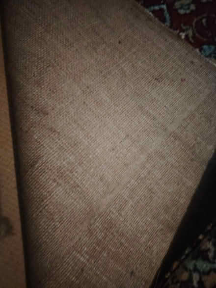 Photo of free Red Axminster carpet (DE24) #4