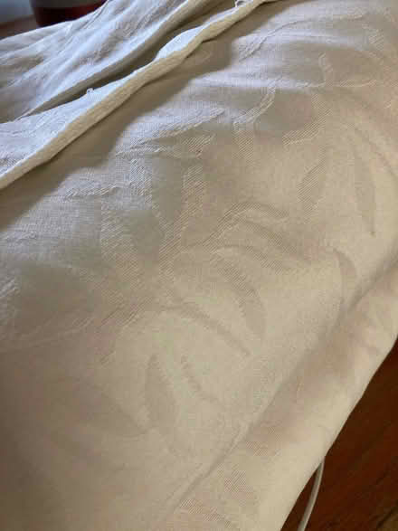 Photo of free Curtains (St Leonards on Sea TN37) #2