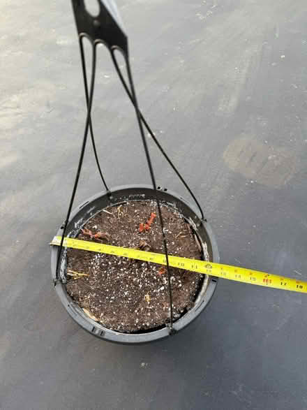 Photo of free Hanging baskets for flowers (Brookeville) #1