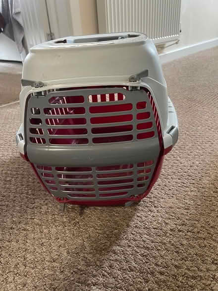 Photo of free Small animal carrier (Lady Bay NG2) #1