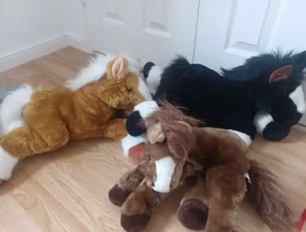 Photo of free 3 large Horse soft toys (Woodley RG5) #1