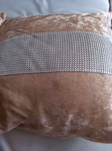 Photo of free Two sofa cushions (South ockendon) #2