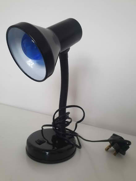 Photo of free Desk table lamp (East Sheen (SW14)) #1