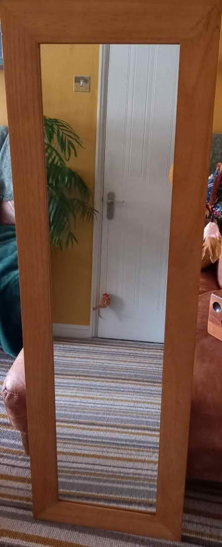 Photo of free Full length mirror (Didcot OX11) #1