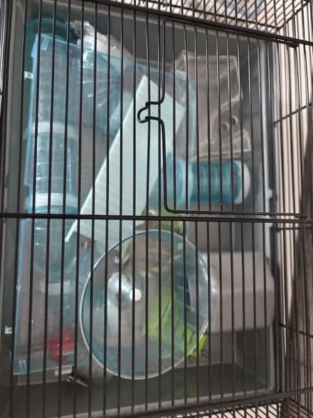 Photo of free Hamster’s cage with accessories (SE6) #2