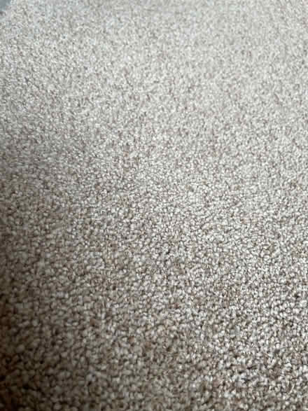 Photo of free carpet (Hillcliffe WA4) #2