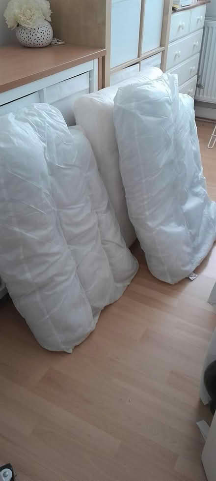 Photo of free Extra large cushions from a sofa (Swarcliffe LS14 5) #1