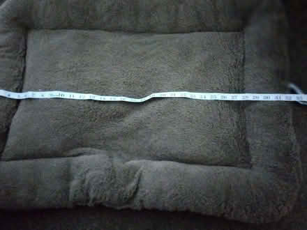 Photo of free dog beds (Hooley CR5) #1