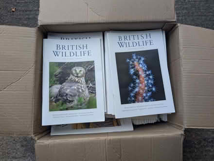 Photo of free British Wildlife journals (Sion Hill) #1