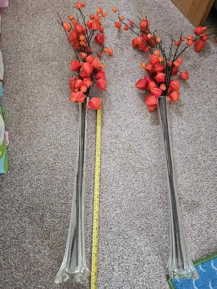Photo of free Long glass vases (Maidenhead SL6) #1