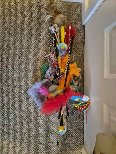 Photo of free Various cat toys (Drayton PO6) #1