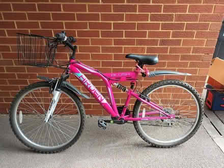 Photo of free Pink bike for teen (Walnut Tree MK7) #1
