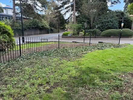 Photo of free Fence needs to be dismantled (CR0 5DY) #4