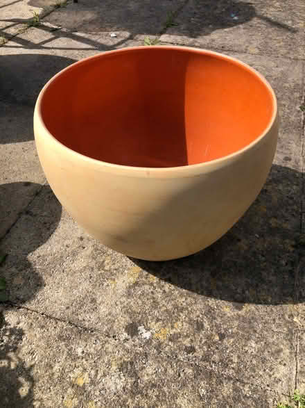 Photo of free Indoor plant pot (Parson's Heath CO4) #1