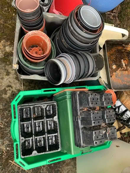 Photo of free Plant pots (Dunfermline KY12) #1