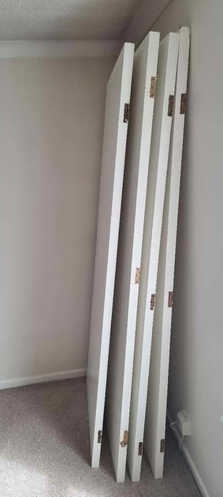 Photo of free 4 internal doors (Bowerdean, HP13) #2