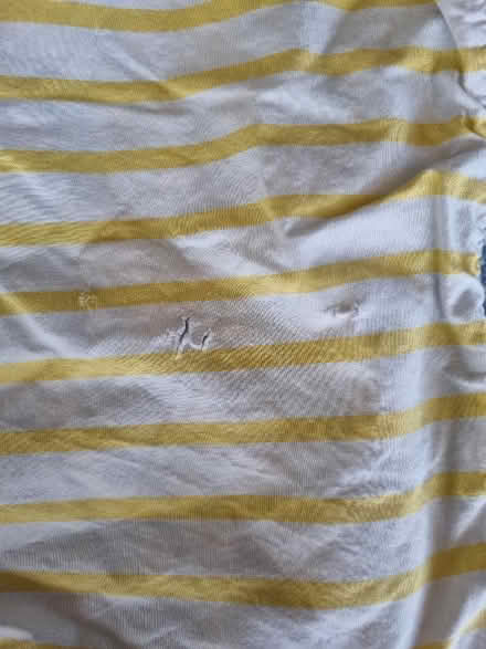 Photo of free Seasalt single duvet cover (Chalford GL6) #3