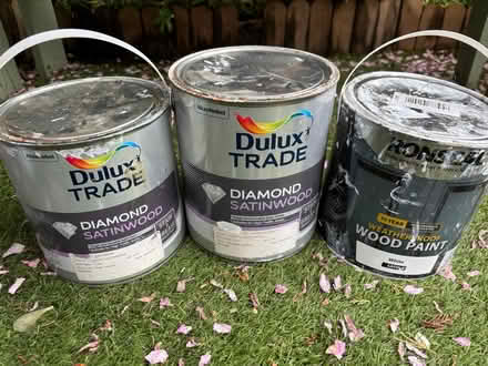 Photo of free Paint (SW15 Putney) #1