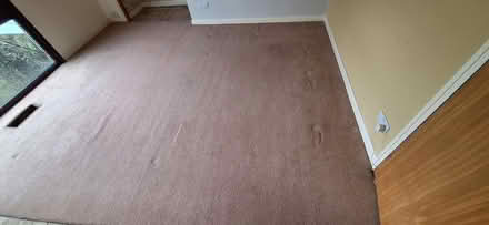 Photo of free Carpet (Kendal LA9) #2