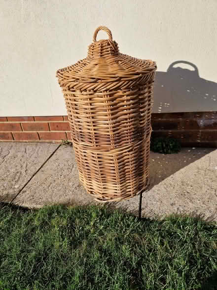 Photo of free Wicker laundry basket (Liverton Coldeast TQ12) #1