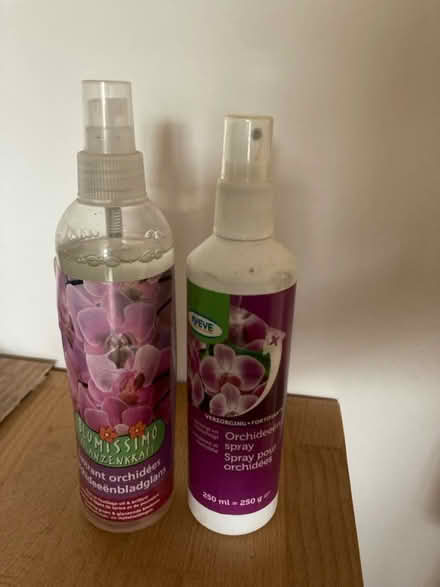 Photo of free Orchid plant spray (Abingdon) #1