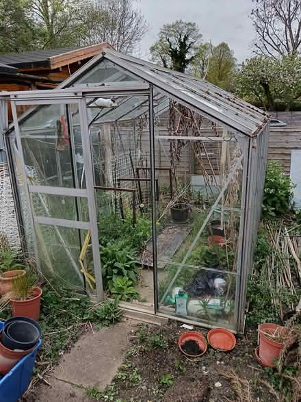 Photo of free Two greenhouses (Hitchin (SG5)) #3