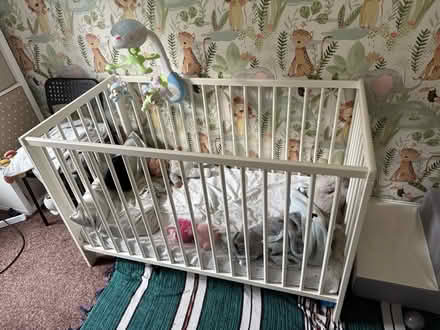 Photo of free Cot/bed (Nether Edge S7) #1