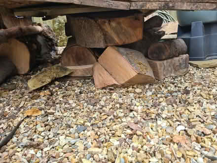 Photo of free Firewood...dry logs (Bray Studios SL4) #1