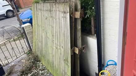 Photo of free 3x featherboard fence panels (Tooting, SW17 9) #1