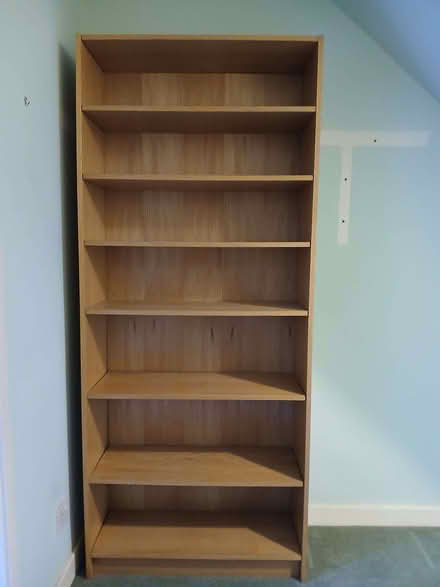 Photo of free tall bookcase (Palmer Park RG1) #1