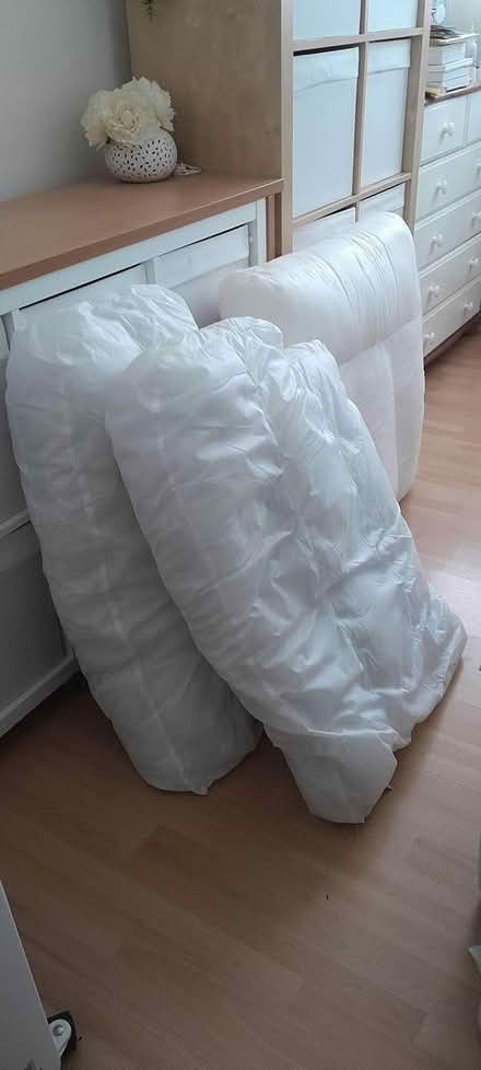 Photo of free Extra large cushions from a sofa (Swarcliffe LS14 5) #2