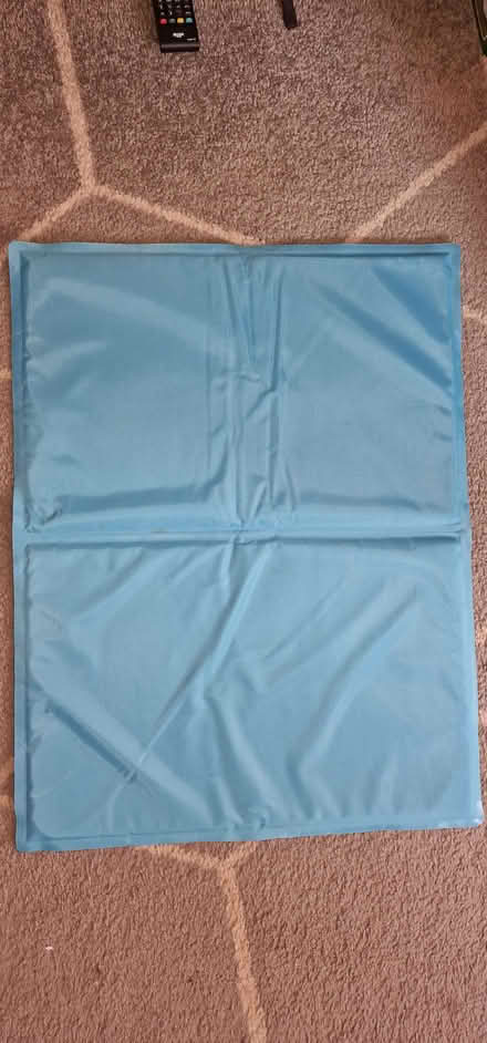 Photo of free Cool mat for dog (Pembury TN2) #1
