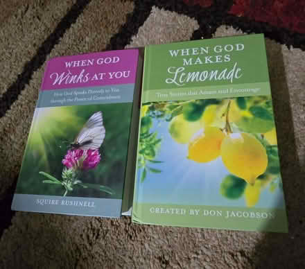 Photo of free 2 hardcover books (Block by Lombard pool) #1