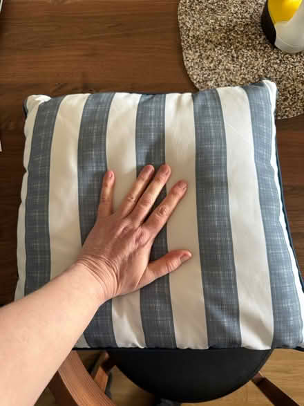 Photo of free Decorative cushions (E1W Limehouse/Shadwell) #1