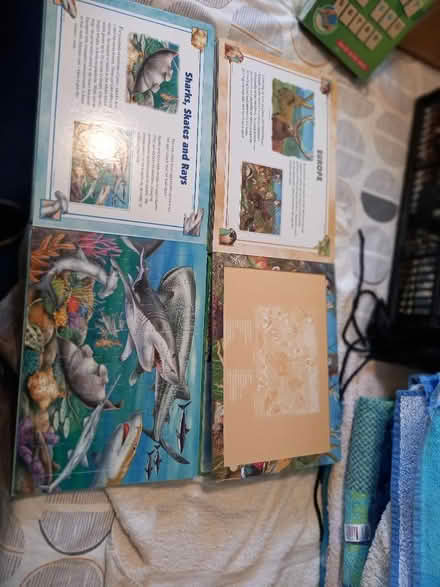 Photo of free 2 jigsaw books (Littlemore OX4) #3