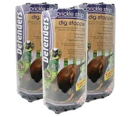 Photo of free Prickle strip to discourage digging by dogs or foxes (Anstey LE7) #2