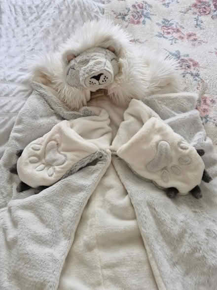 Photo of free Child's hooded snuggle blanket (Knightsfield AL8) #1