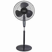 Photo of Fan (Almonte (Dwyer Hill Area)) #1