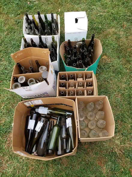 Photo of free Wine Bottles (Front Royal) #1