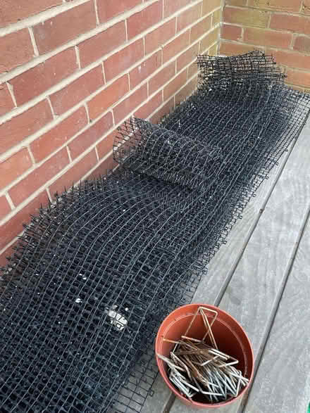 Photo of free Prickle strip to discourage digging by dogs or foxes (Anstey LE7) #1